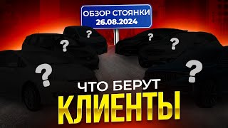 Видео-блог ютуб