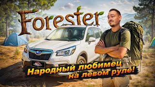 Видео-блог ютуб